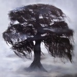 dont-go-near-the-old-ash-tree