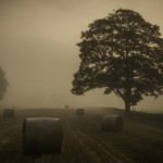 the-thing-that-stalks-the-fields