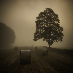 "The Thing That Stalks the Fields" by David Feuling (feat. Craig Groshek)
