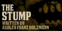 the-stump-5-ws