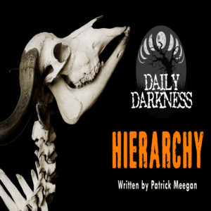 Daily Darkness – Episode 17 - "Hierarchy"
