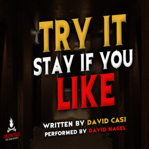 "Try It Stay If You Like" by David Casi (feat. David Nagel)
