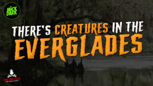 "There's Creatures in the Everglades" - Performed by Mick Dark