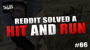 Reddit Solved a Hit and Run – Tales by Cole